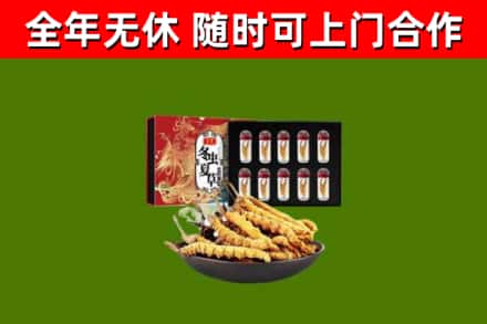 凤冈县回收冬虫夏草价格