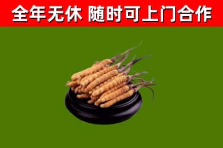 凤冈县烟酒回收冬虫夏草.jpg
